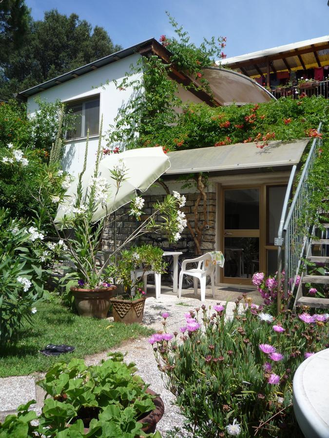 Casa Furrer Aparthotel Tirrenia Exterior photo